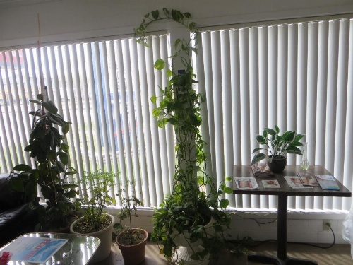 Traveler's Lodge image 13